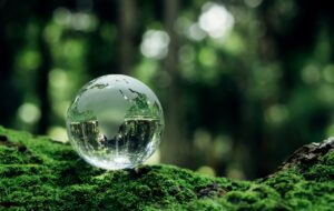 Moore Australia ASIC issues sustainability report