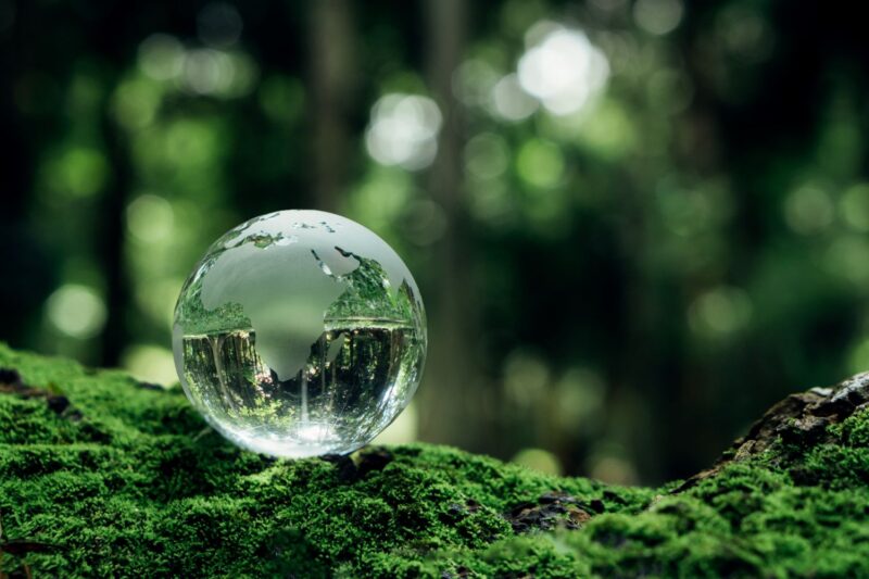 Moore Australia ASIC issues sustainability report