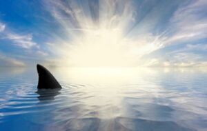 INSIGHTS AND ANALYSIS FROM SHARK TANK SEASON 6