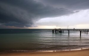 Following the devastating storms that impacted the Gold Coast, Logan and Scenic Rim areas over the 2023 Christmas period, there are several support mechanisms being activated and available to businesses and individuals.