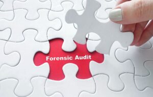 Forensic Audit and Accounting: Trends and Challenges in Australia