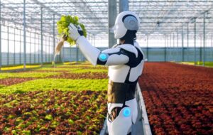 Navigating the Future: Seizing International Opportunities in Australian Agriculture for APAC Invest