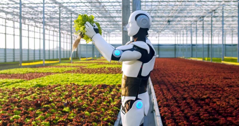 Navigating the Future: Seizing International Opportunities in Australian Agriculture for APAC Invest