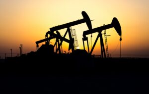 ESG and Sustainability Reporting and Consulting