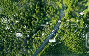 The Inconvenient Truth about Sustainability