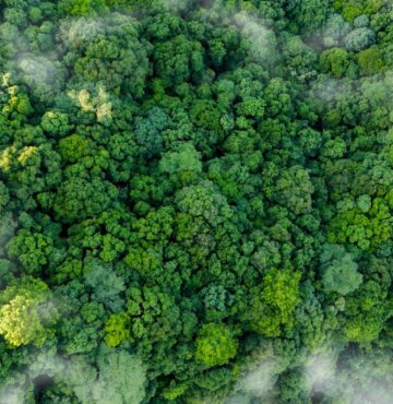 Sustainability and ESG Reporting and Assurance Services at Moore Australia