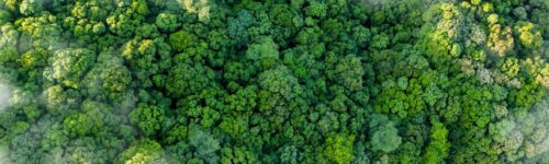 Sustainability and ESG Reporting and Assurance Services at Moore Australia