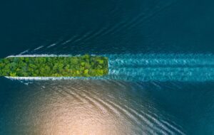 Accounting for Portable Long Service Leave