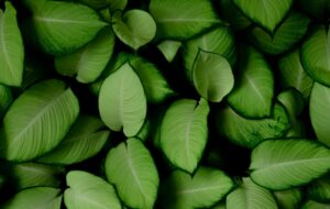 Clarity in Sustainability Reporting Requirements