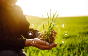 How does a Business Advisor help an Agribusiness