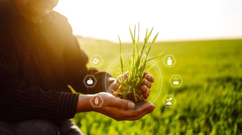 How does a Business Advisor help an Agribusiness