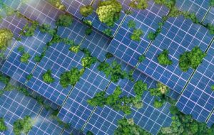 Commencing Your ESG Journey – Identifying Climate Risks and Opportunities