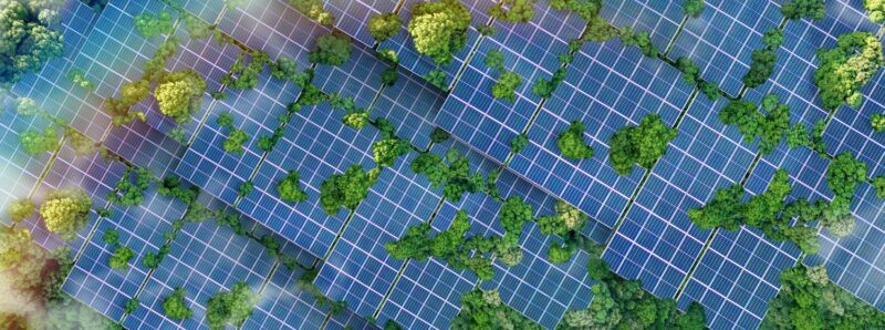 Commencing Your ESG Journey – Identifying Climate Risks and Opportunities