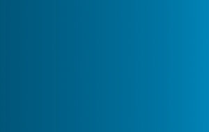 Auditor Proud Day: Insights from Our Audit Professionals