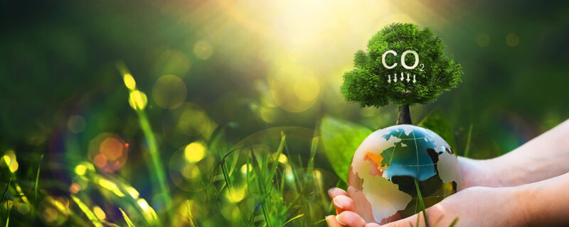 National Carbon Reduction Target and What It Means for Businesses