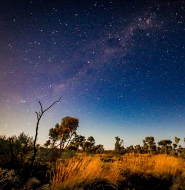 Banner Indigenous Business experts Moore australia