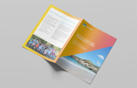 Indigenous Organisations