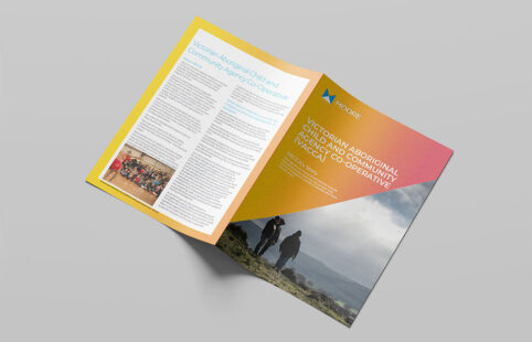 Indigenous Organisations