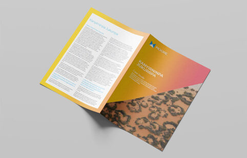 Indigenous Organisations