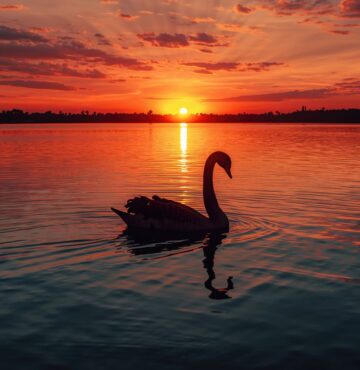 Moore Australia (WA)