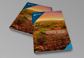 Thumb 2024 Illustrated Financials