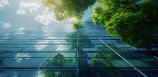 Sustainability Reporting: Where Do You Actually Start?