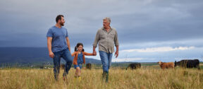 Three generations of a farming family walking together through a paddock with cattle grazing behind them, showing the long term planning a family advisory board supports.