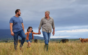 Three generations of a farming family walking together through a paddock with cattle grazing behind them, showing the long term planning a family advisory board supports.
