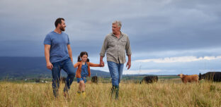 Three generations of a farming family walking together through a paddock with cattle grazing behind them, showing the long term planning a family advisory board supports.