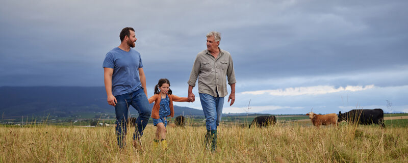 Three generations of a farming family walking together through a paddock with cattle grazing behind them, showing the long term planning a family advisory board supports.