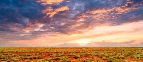 Bannner can the NT become AU next growth engine Moore Australia
