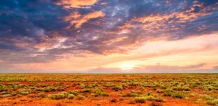 Bannner can the NT become AU next growth engine Moore Australia