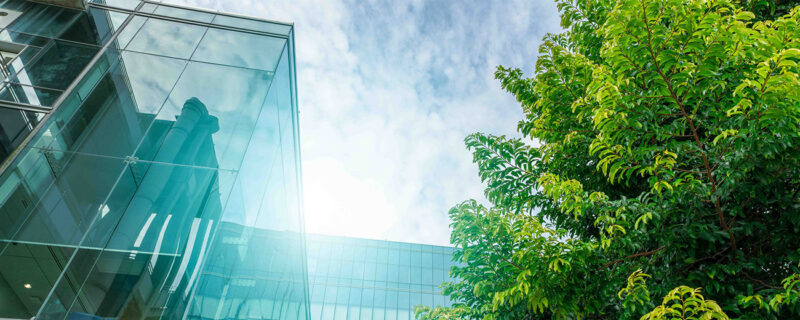 Banner of Group 2 sustainability reporting: What to prepare before June 2027 Webinar