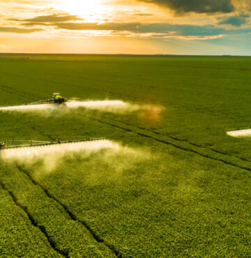 Moore Australia (WA)